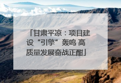 甘肃平凉：项目建设“引擎”轰鸣 高质量发展奋战正酣