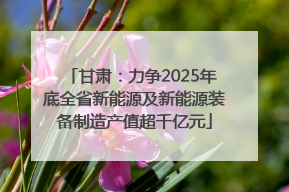 甘肃：力争2025年底全省新能源及新能源装备制造产值超千亿元