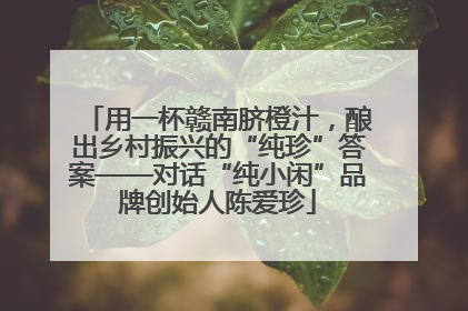 用一杯赣南脐橙汁，酿出乡村振兴的“纯珍”答案——对话“纯小闲”品牌创始人陈爱珍