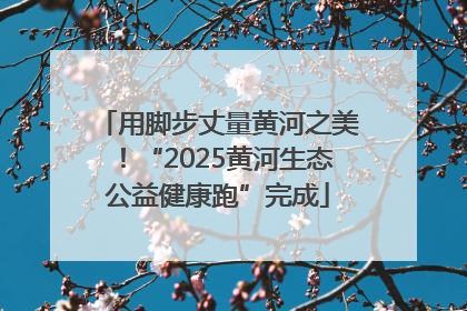 用脚步丈量黄河之美！“2025黄河生态公益健康跑”完成