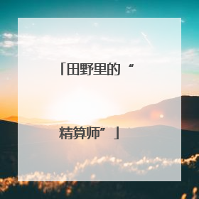 田野里的“精算师”
