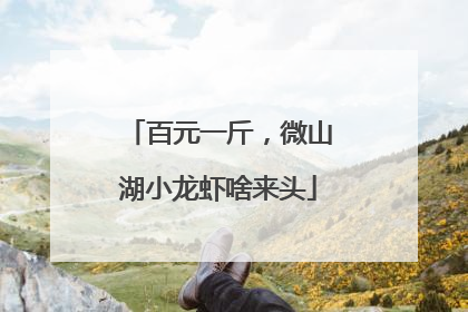百元一斤，微山湖小龙虾啥来头