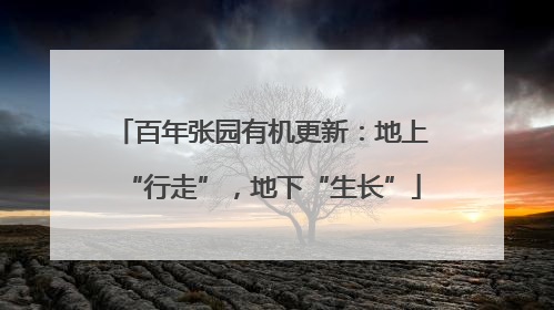 百年张园有机更新：地上“行走”，地下“生长”