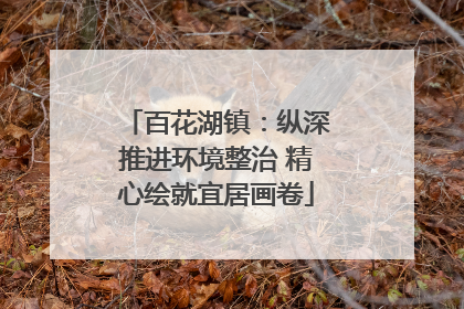 百花湖镇：纵深推进环境整治 精心绘就宜居画卷