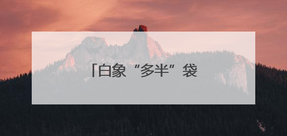 白象“多半”袋面上热搜！商标文字游戏何时休？