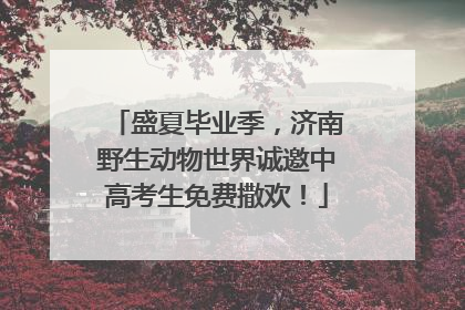 盛夏毕业季，济南野生动物世界诚邀中高考生免费撒欢！