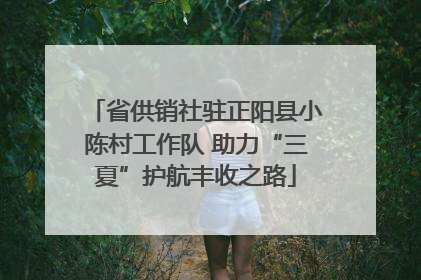 省供销社驻正阳县小陈村工作队 助力“三夏”护航丰收之路