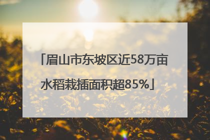 眉山市东坡区近58万亩水稻栽插面积超85%