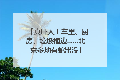 真吓人！车里、厨房、垃圾桶边……北京多地有蛇出没