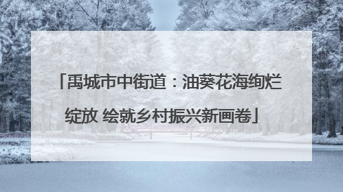 禹城市中街道：油葵花海绚烂绽放 绘就乡村振兴新画卷