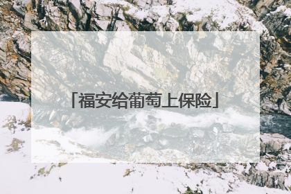 福安给葡萄上保险