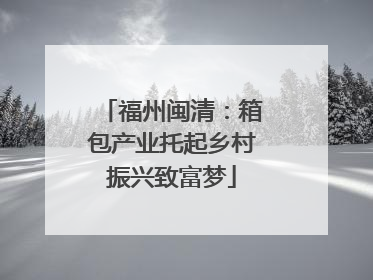 福州闽清：箱包产业托起乡村振兴致富梦