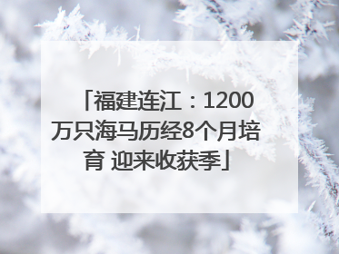 福建连江：1200万只海马历经8个月培育 迎来收获季