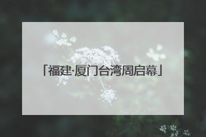 福建·厦门台湾周启幕