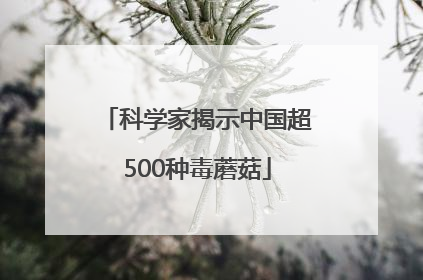 科学家揭示中国超500种毒蘑菇