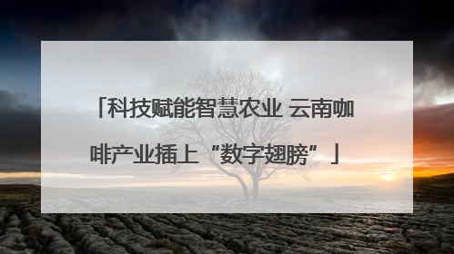 科技赋能智慧农业 云南咖啡产业插上“数字翅膀”