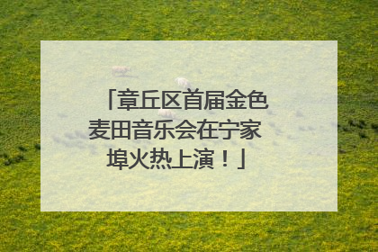 章丘区首届金色麦田音乐会在宁家埠火热上演！