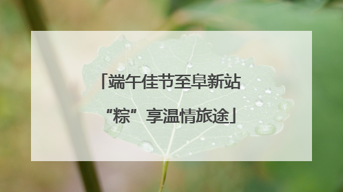 端午佳节至阜新站“粽”享温情旅途