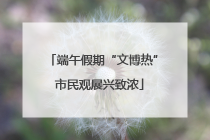 端午假期“文博热” 市民观展兴致浓