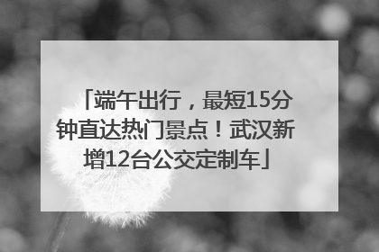 端午出行，最短15分钟直达热门景点！武汉新增12台公交定制车