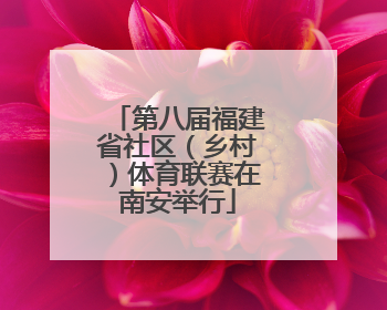 第八届福建省社区（乡村）体育联赛在南安举行
