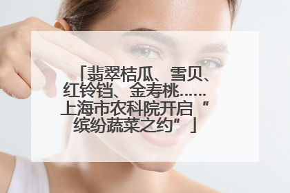 翡翠桔瓜、雪贝、红铃铛、金寿桃……上海市农科院开启“缤纷蔬菜之约”