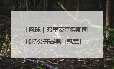 网球｜弗里茨夺得斯图加特公开赛男单冠军