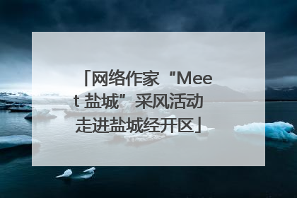 网络作家“Meet 盐城”采风活动走进盐城经开区