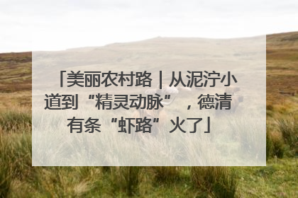 美丽农村路｜从泥泞小道到“精灵动脉”，德清有条“虾路”火了