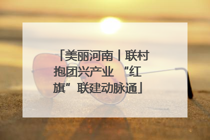 美丽河南丨联村抱团兴产业 “红旗”联建动脉通