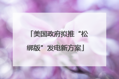 美国政府拟推“松绑版”发电新方案