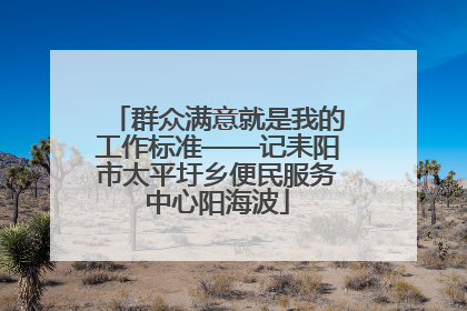 群众满意就是我的工作标准——记耒阳市太平圩乡便民服务中心阳海波