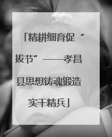 精耕细育促“拔节”——孝昌县思想铸魂锻造实干精兵