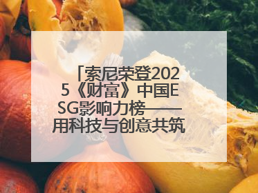 索尼荣登2025《财富》中国ESG影响力榜——用科技与创意共筑可持续的未来