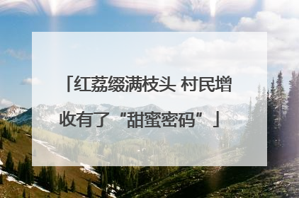红荔缀满枝头 村民增收有了“甜蜜密码”