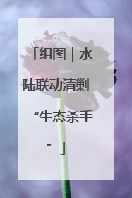 组图｜水陆联动清剿“生态杀手”