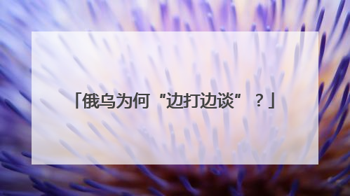 俄乌为何“边打边谈”？
