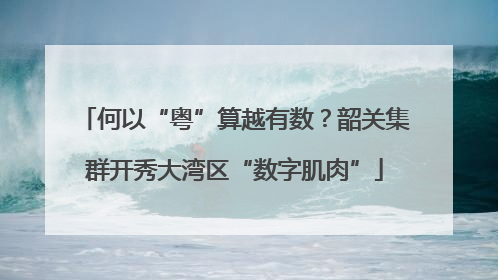 何以“粤”算越有数？韶关集群开秀大湾区“数字肌肉”