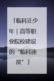 临科正少年｜高等职业院校建设的“临科速度”