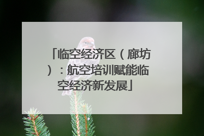 临空经济区（廊坊）：航空培训赋能临空经济新发展