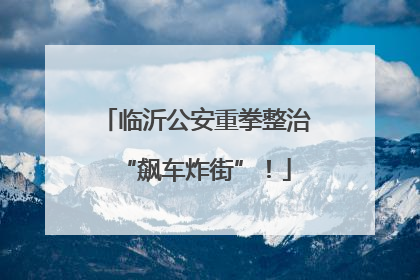 临沂公安重拳整治“飙车炸街”！