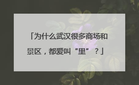 为什么武汉很多商场和景区，都爱叫“里”？