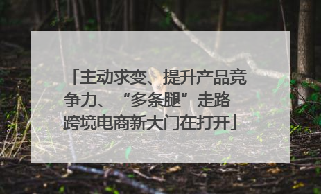 主动求变、提升产品竞争力、“多条腿”走路 跨境电商新大门在打开