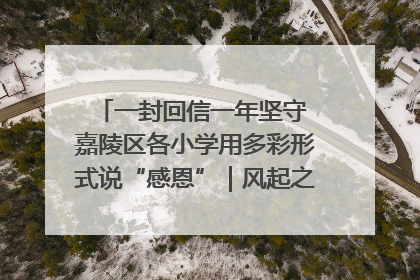 一封回信一年坚守 嘉陵区各小学用多彩形式说“感恩”｜风起之江 扶摇直上