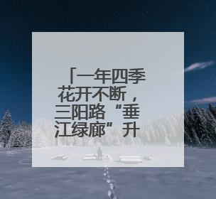一年四季花开不断，三阳路“垂江绿廊”升级为“垂江花廊”