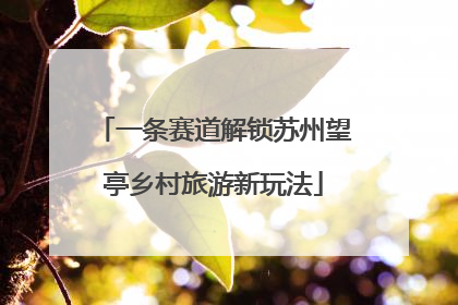 一条赛道解锁苏州望亭乡村旅游新玩法