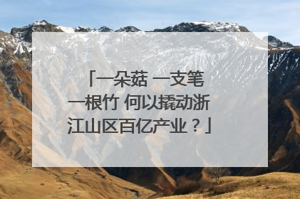 一朵菇 一支笔 一根竹 何以撬动浙江山区百亿产业？