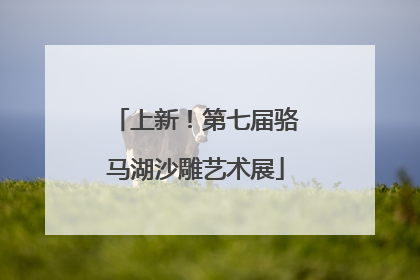 上新！第七届骆马湖沙雕艺术展