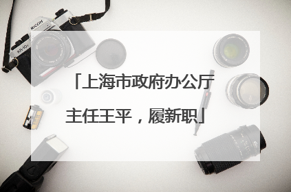 上海市政府办公厅主任王平，履新职