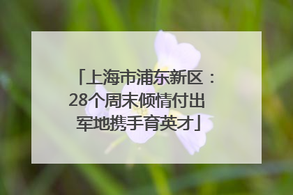 上海市浦东新区：28个周末倾情付出 军地携手育英才
